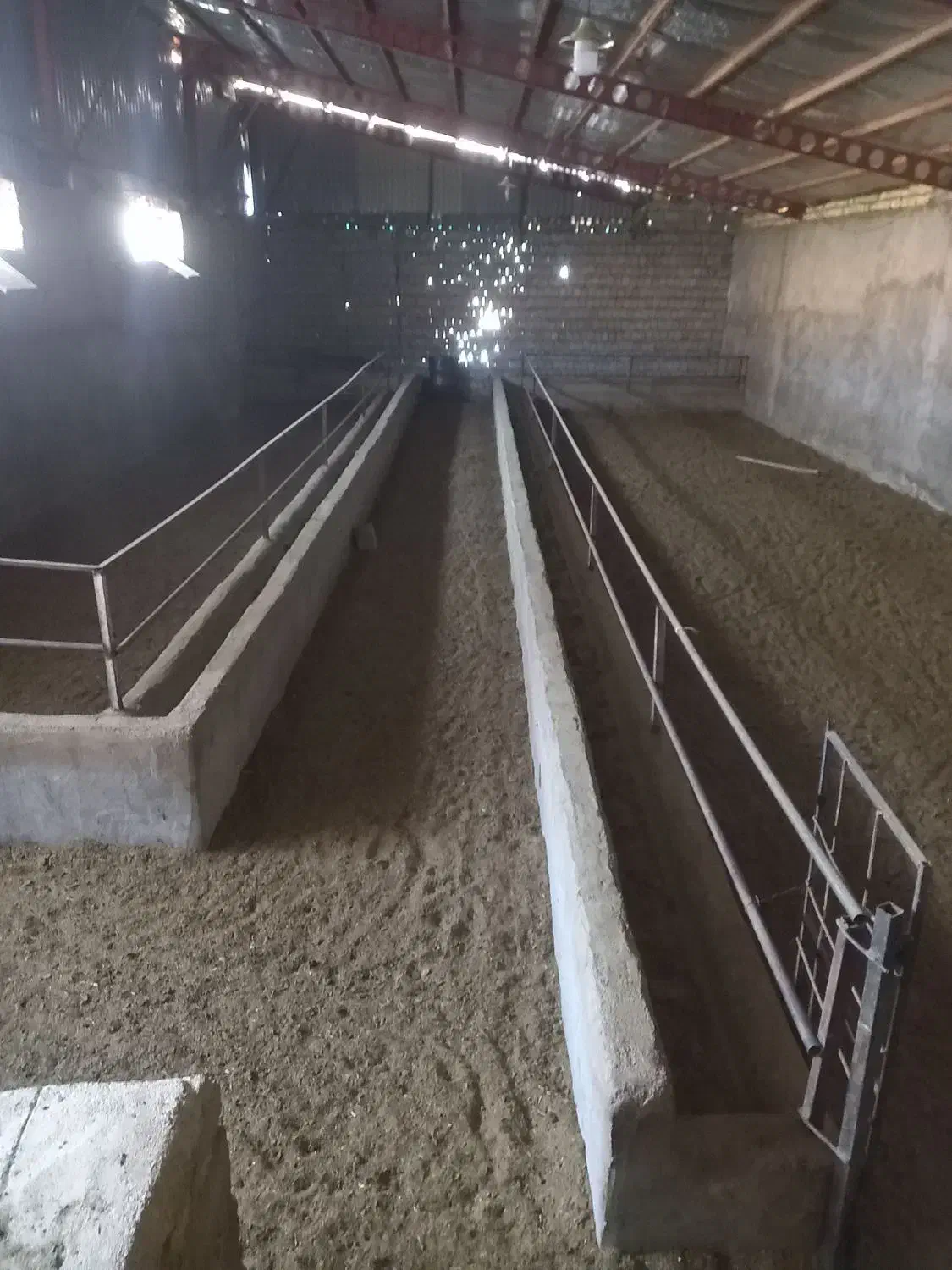 دامداری اجاره ای|اجارهٔ دفتر صنعتی، کشاورزی، تجاری|صمصامی, |دیوار