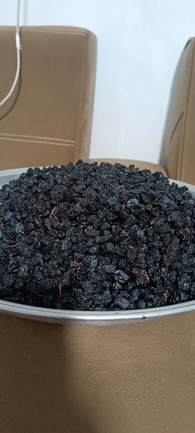 کشمش|خوردنی و آشامیدنی|کرمانشاه, |دیوار