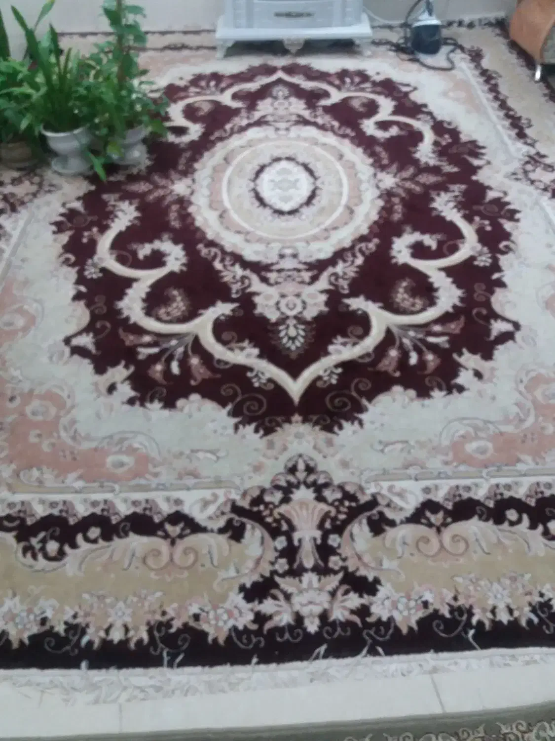 فرش|فرش|نیشابور, دارایی|دیوار