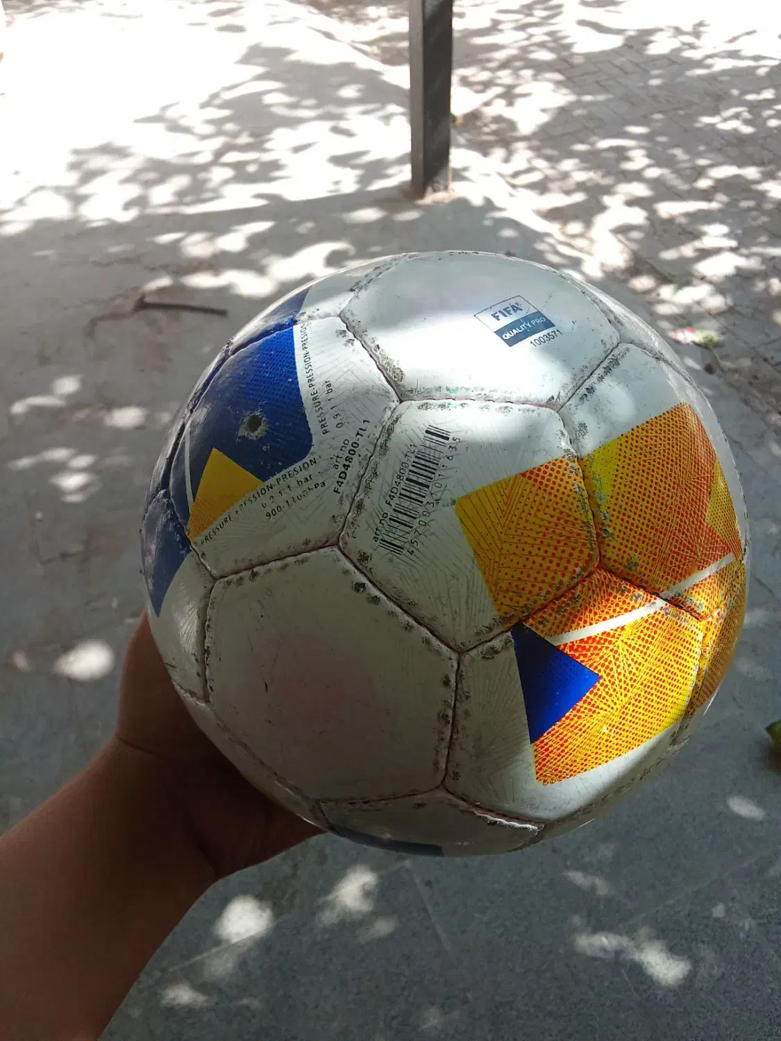 توپ چمن و سالن|ورزشهای توپی|تربت جام, حافظ|دیوار