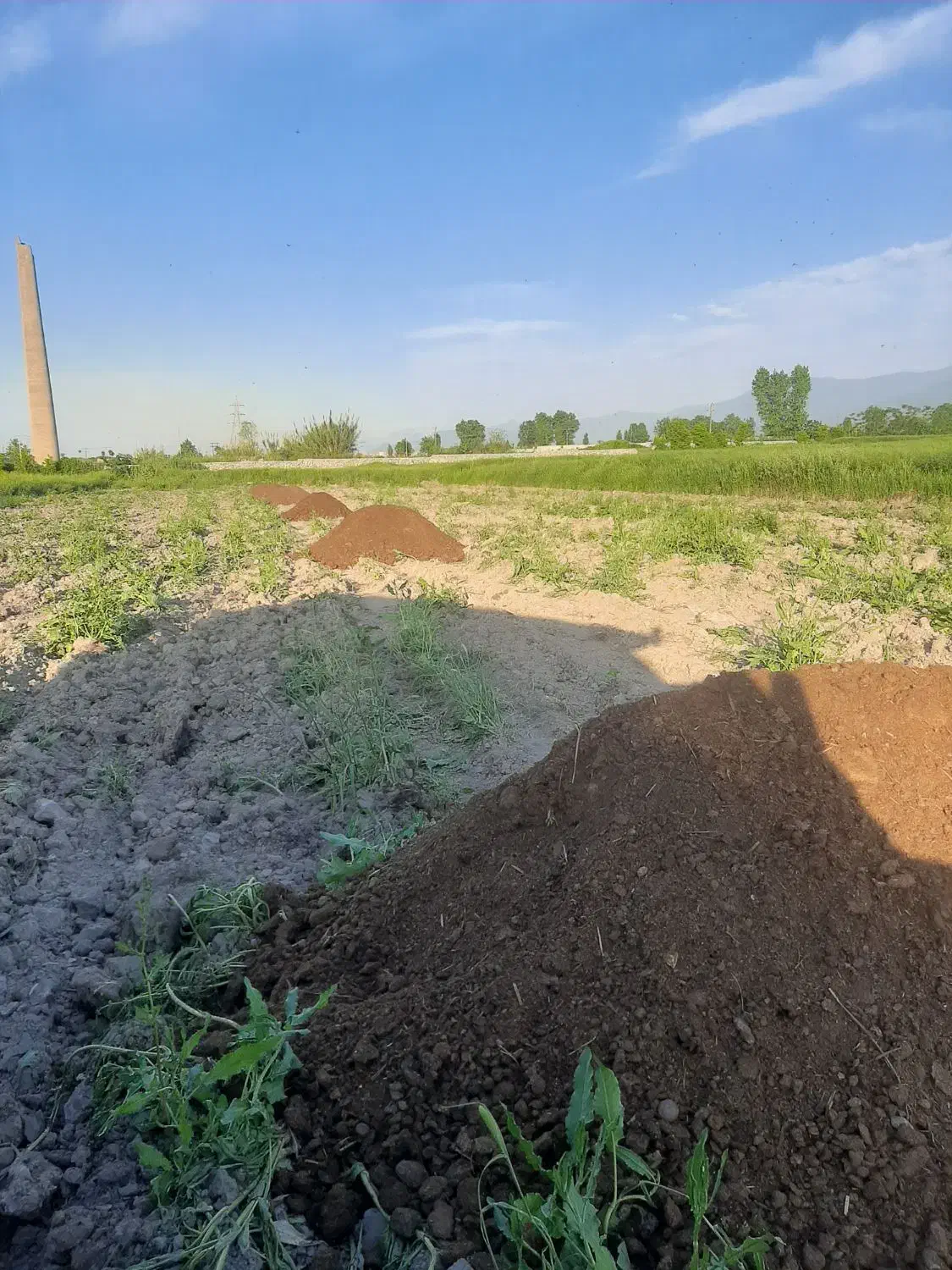 کودگاوی|خدمات باغبانی و درختکاری|گرگان, |دیوار