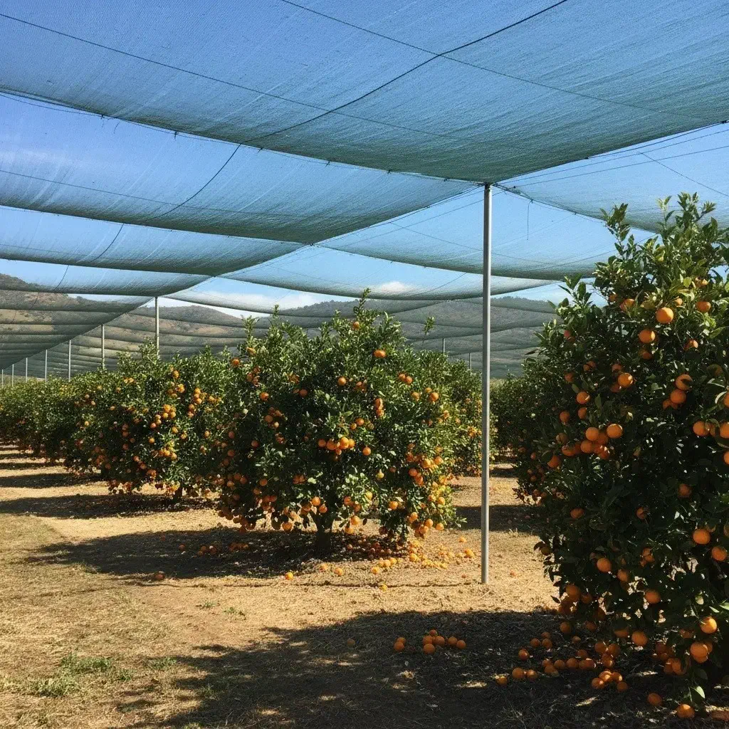 تولید و پخش انواع سایبان گلخانه (شید)و توری سایبان|عمده‌فروشی|هشتگرد, شهرک بعثت|دیوار