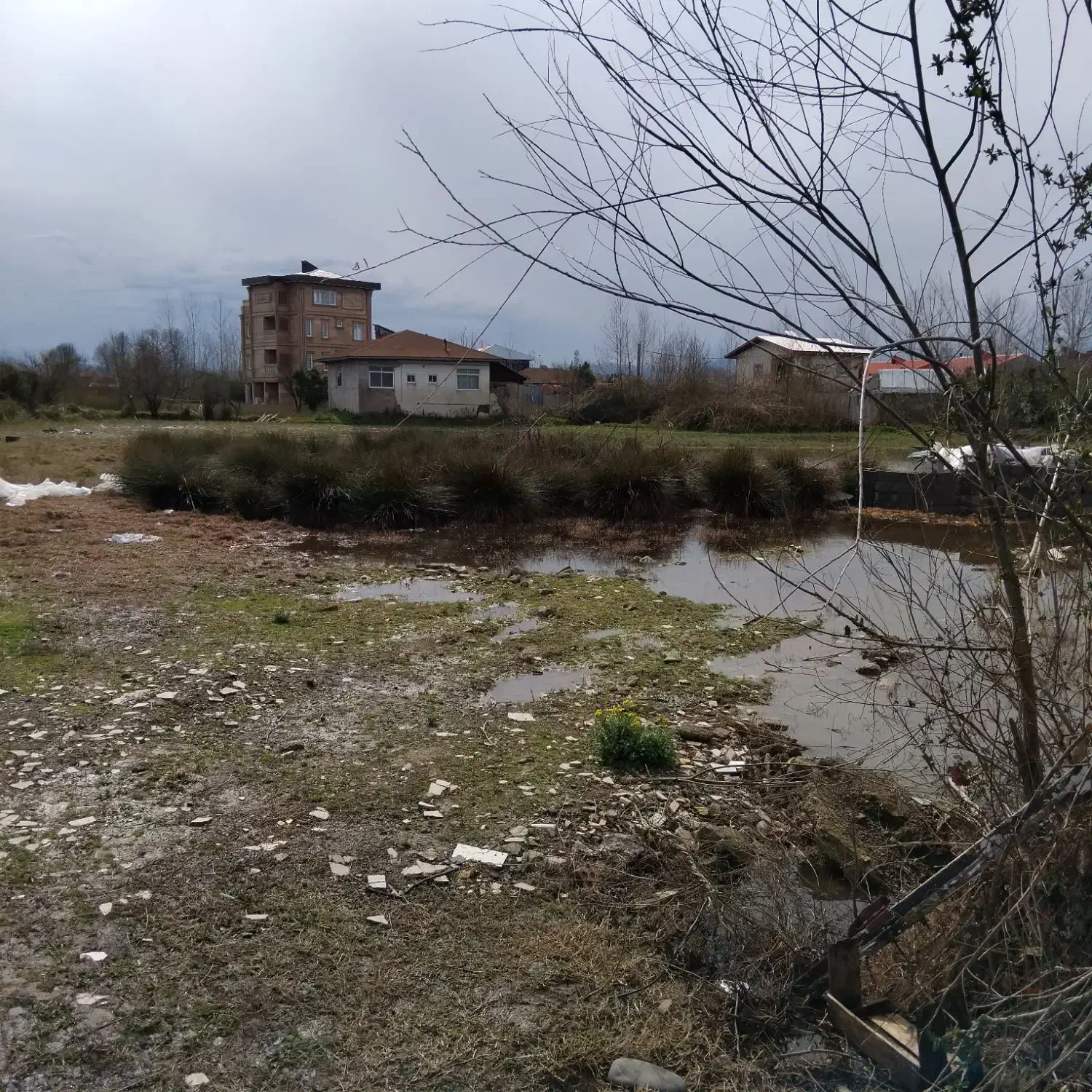 زمین مسکونی|فروش زمین و ملک کلنگی|رشت, سیا اسطلخ|دیوار