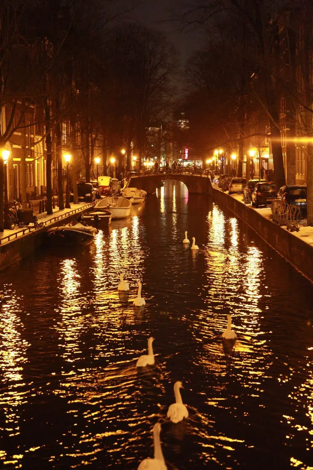 استخدام همکار جهت کافی نت و نوشت افزار|استخدام رایانه و فناوری اطلاعات|بهبهان, |دیوار