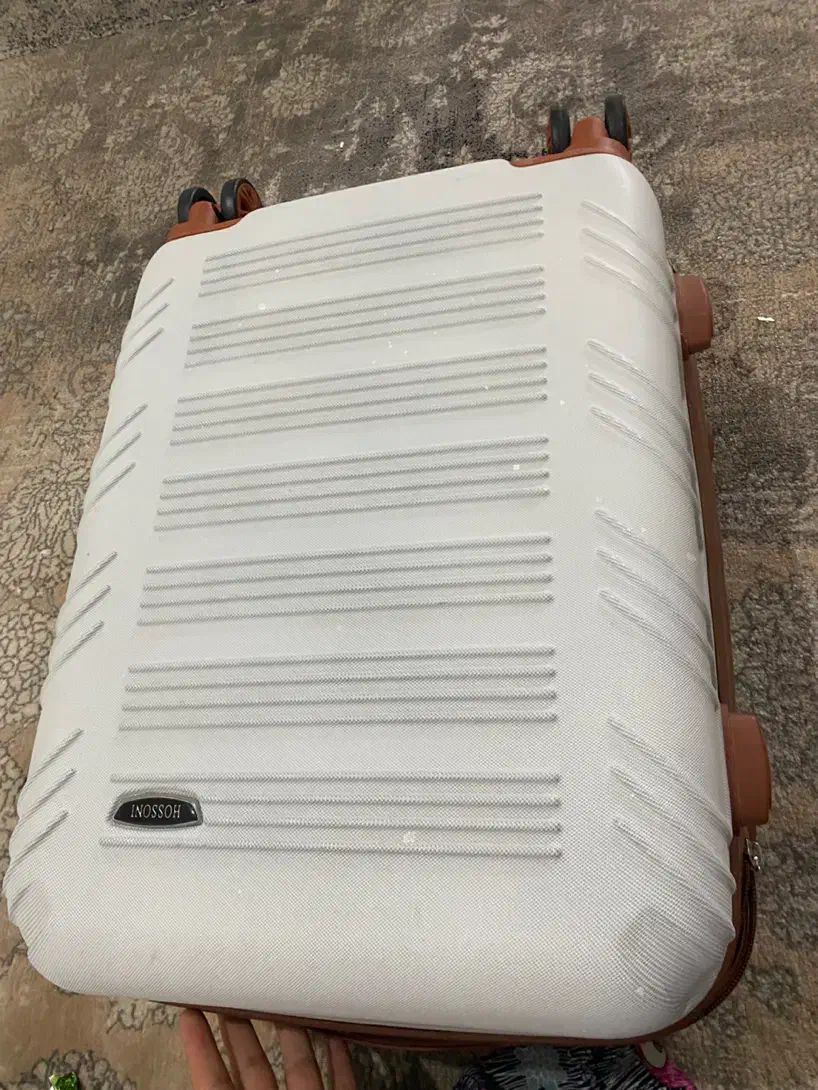 چمدان نونو|کیف، کفش، کمربند|کوهدشت, |دیوار