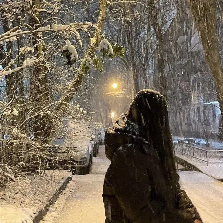 طالع بینی|خدمات باغبانی و درختکاری|مهریز, |دیوار