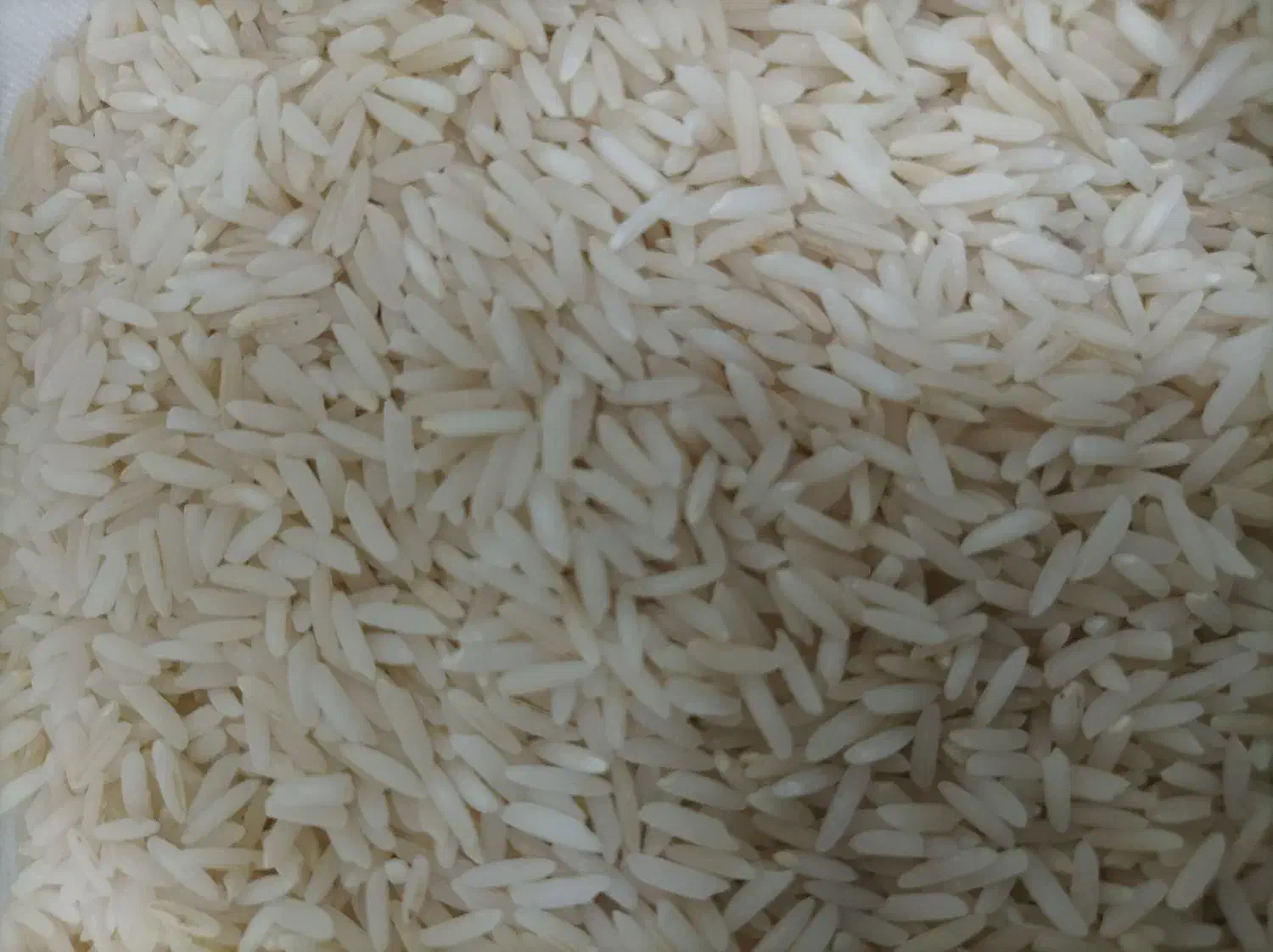 انواع برنج پاکستانی و ایرانی شکر روغن زعفران و ...|خوردنی و آشامیدنی|بیرجند, |دیوار