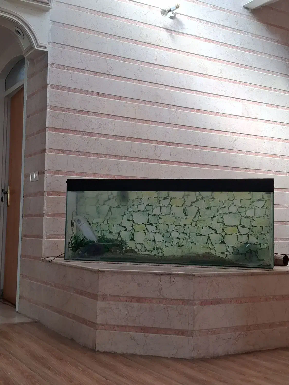 آکواریوم|ماهی|رفسنجان, |دیوار