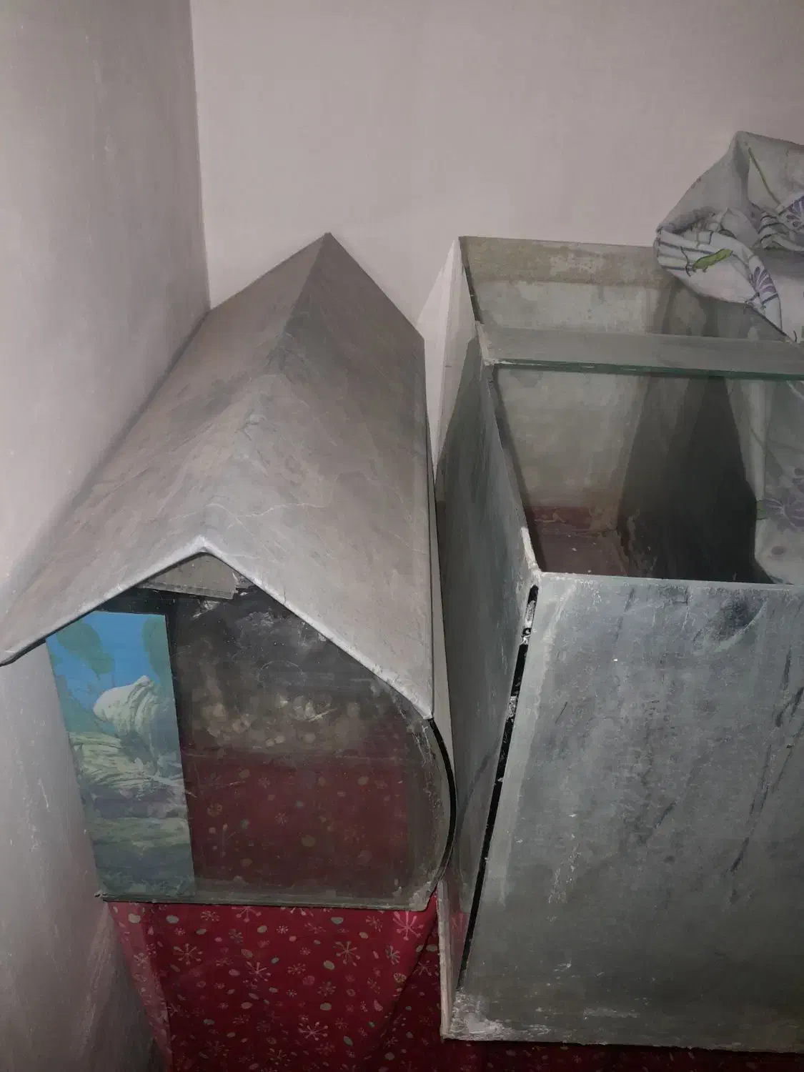 آکواریوم|ماهی|بیرجند, |دیوار