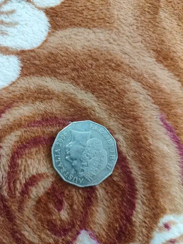 سکه قدیمی و با ارزش|کلکسیون اشیاء عتیقه|ری, علایین|دیوار