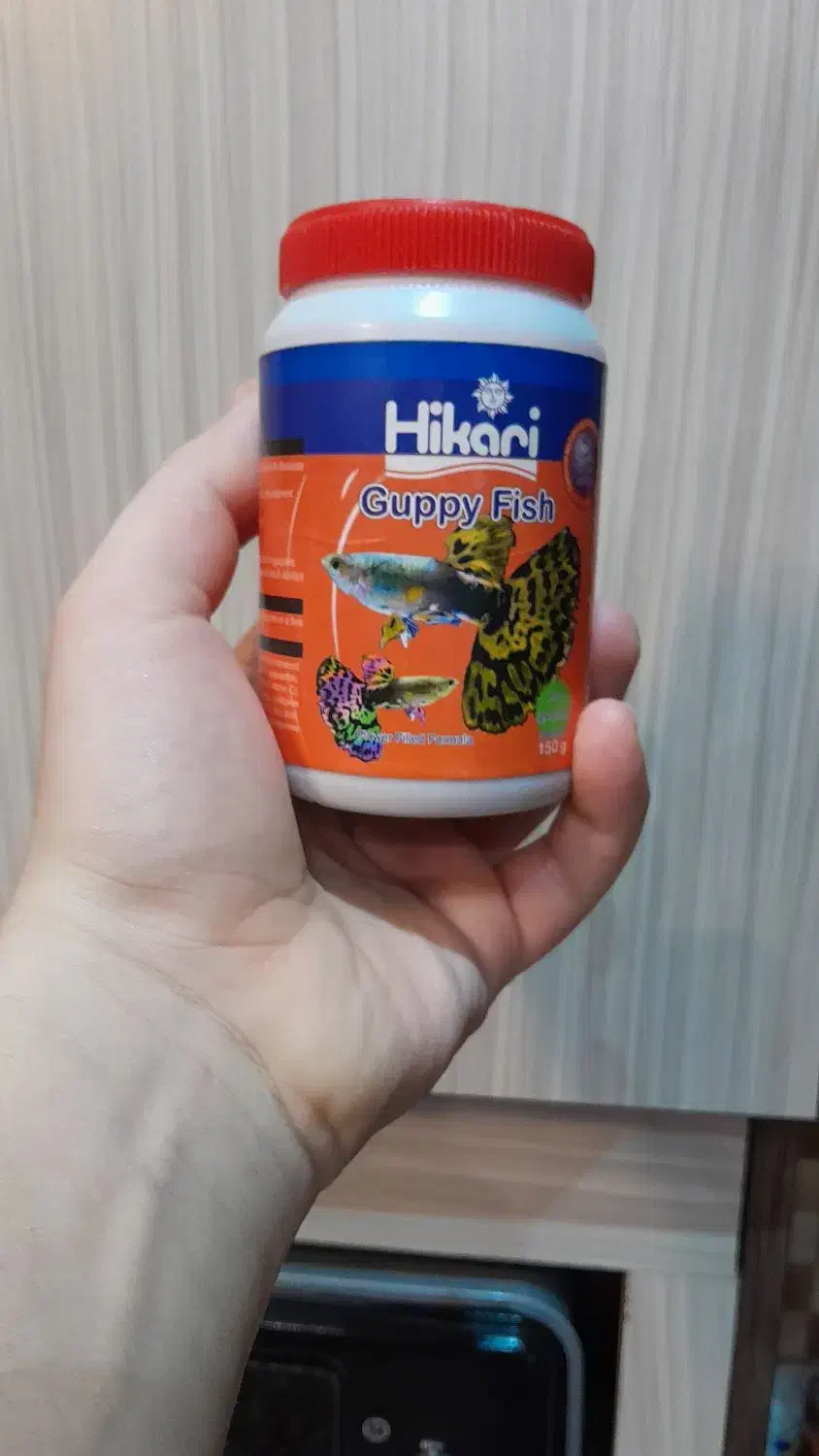 انواع غذا و دارو|ماهی|اردبیل, |دیوار