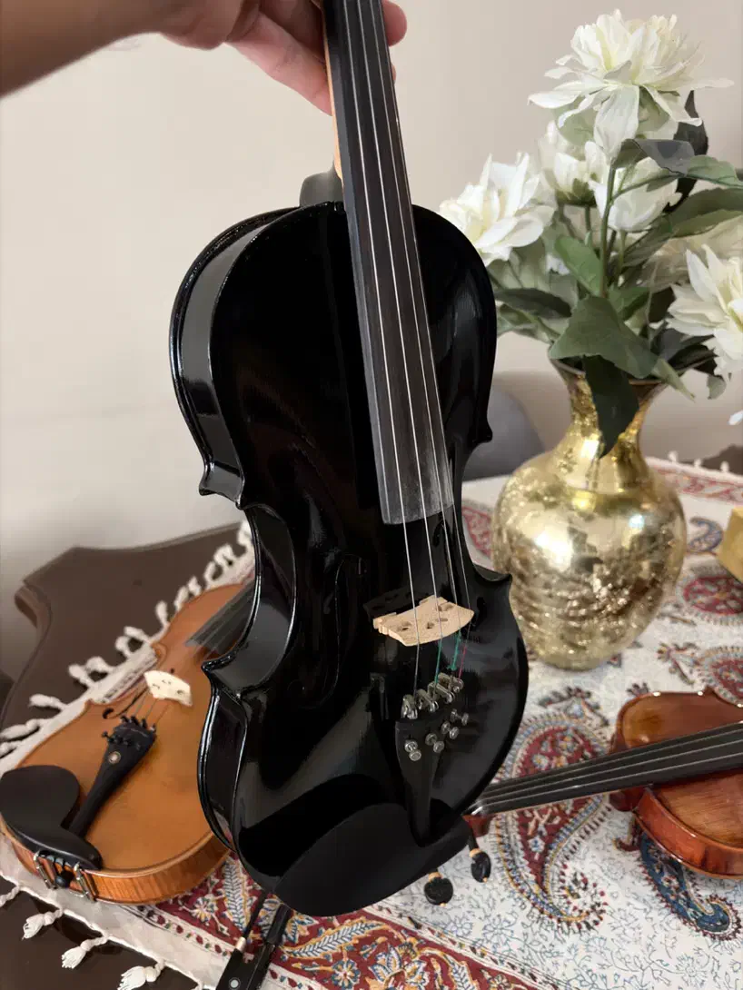 ویولن مشکی حرفه ای|ویولن|تهران, امیریه|دیوار