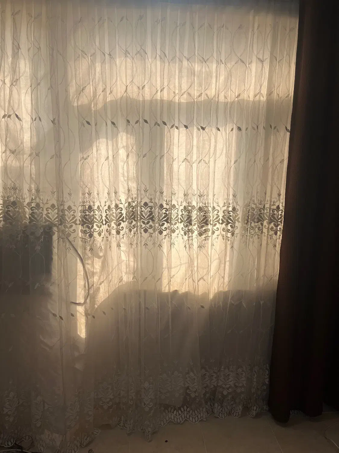 دو عدد پرده پذیرایی و چوب پرده|پرده، رانر، رومیزی|بندرعباس, |دیوار