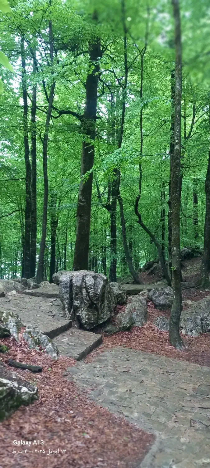 همسفر تا مشهد مقدس|فعالیت داوطلبانه|ساری, |دیوار