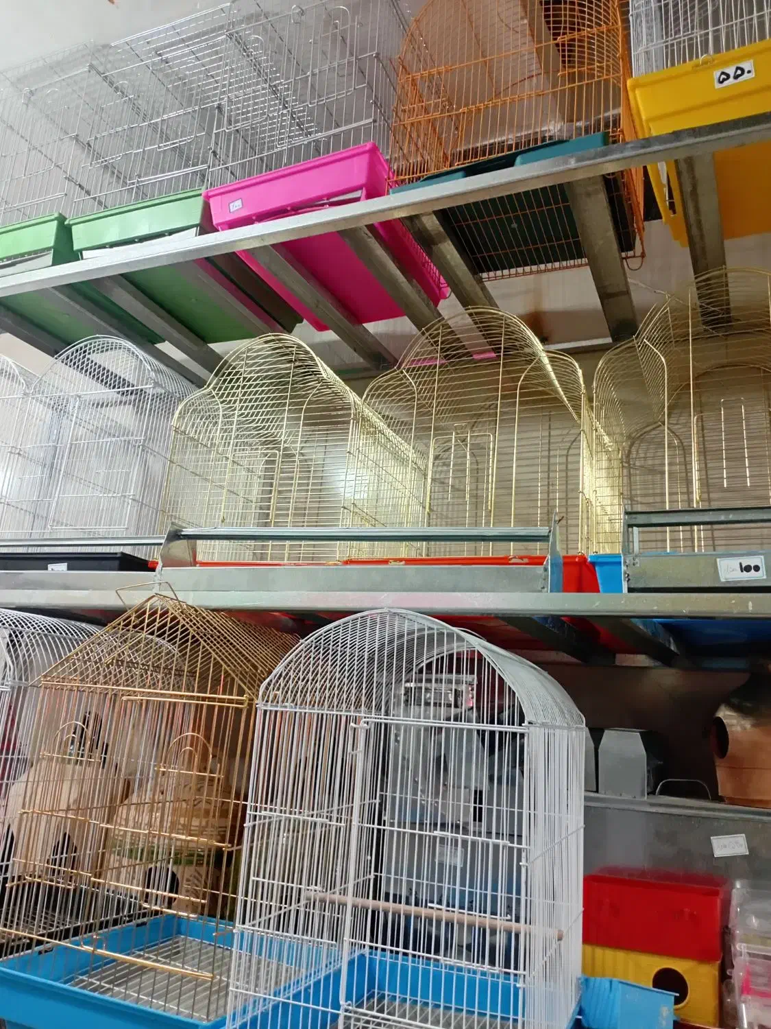 قفس پرنده|لوازم جانبی حیوانات|فردیس, سرحدی|دیوار