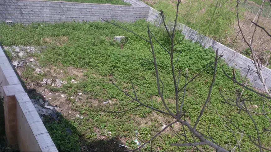 فروش زمین بافت  ۳۶۴ متری دوجمان محله تهرانی نشین|فروش زمین و ملک کلنگی|هچیرود, |دیوار