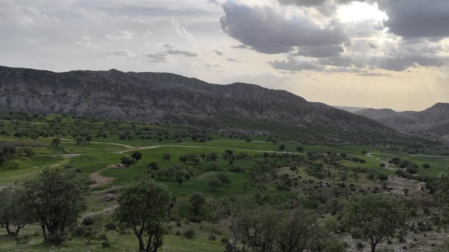 مسافر به تهران|خدمات حمل و نقل|ایلام, |دیوار