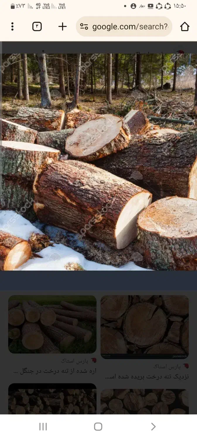 انواع درخت شمارا با بالاترین قیمت خریدارم|خدمات باغبانی و درختکاری|سنندج, |دیوار