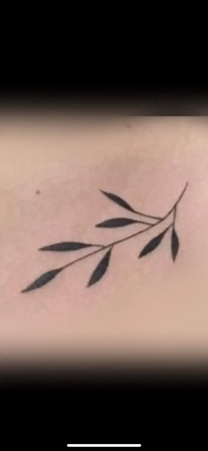 مدل خانوم فقط ۸۰۰ت دوتا باهم|خدمات آرایشگری و زیبایی|بندر انزلی, باغ زمانی|دیوار