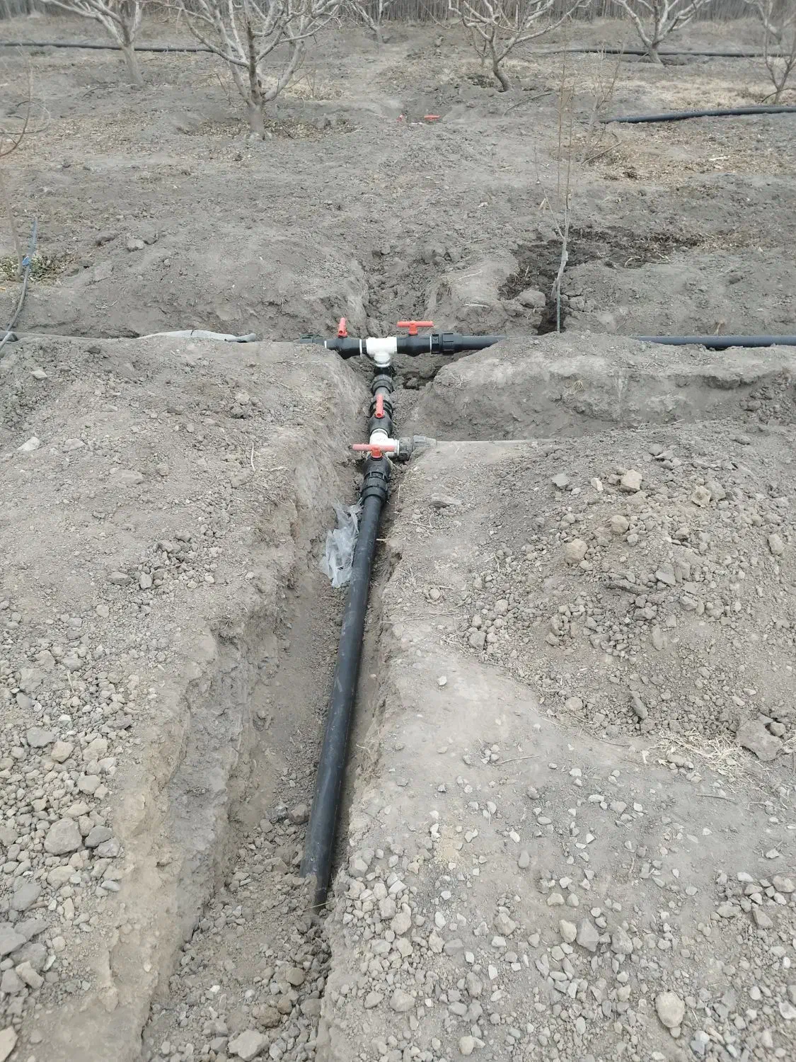 آبیاری قطره ای، بارانی، پلی اتیلن|خدمات باغبانی و درختکاری|شهریار, شهرک اداری تندگویان|دیوار