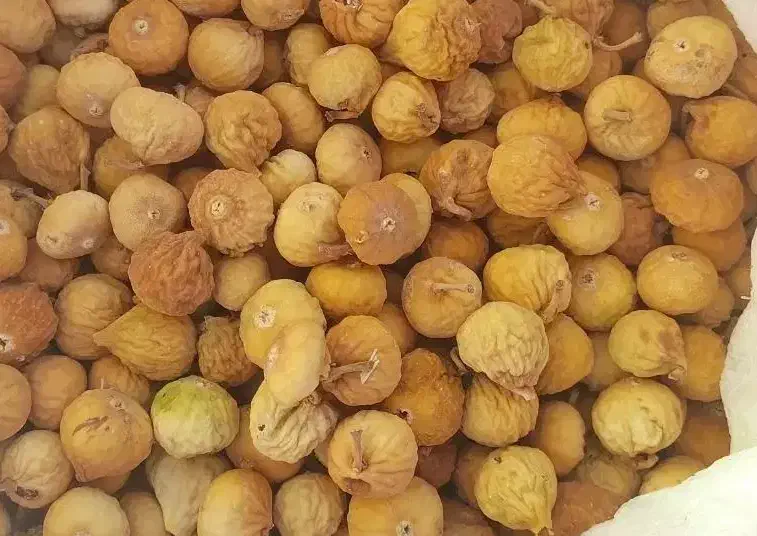 انجیر|خوردنی و آشامیدنی|شیراز, کیان شهر|دیوار