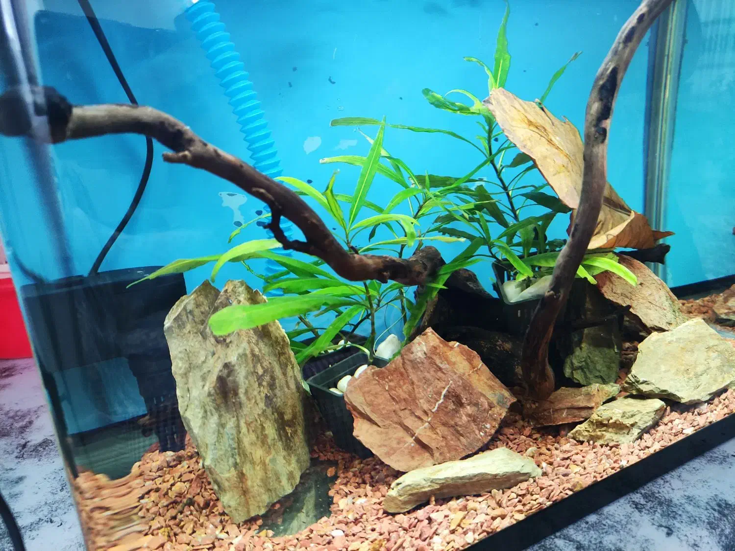 آکواریوم شیشه خم با لوارم در حد نو|ماهی|خسروشاه, |دیوار