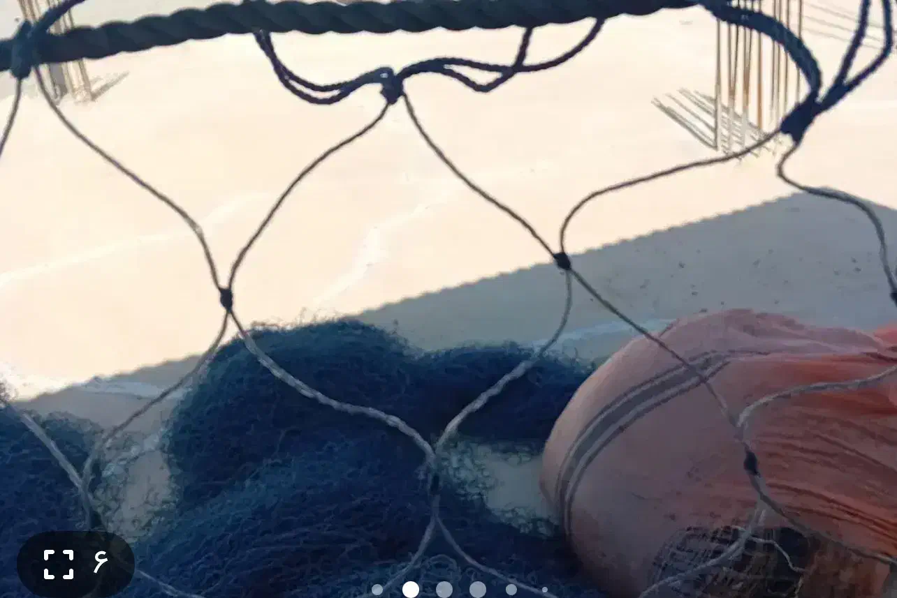 تور ماهیگیری|ماهیگیری|بوشهر, |دیوار