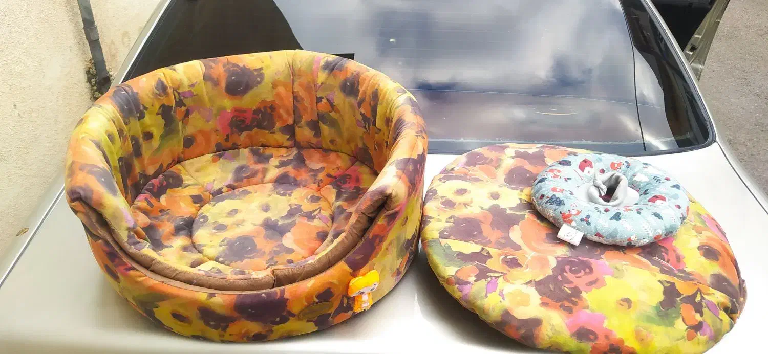 لانه دو حالته ضد حساسیت برای حیوانات|لوازم جانبی حیوانات|رشت, گلباغ نماز|دیوار