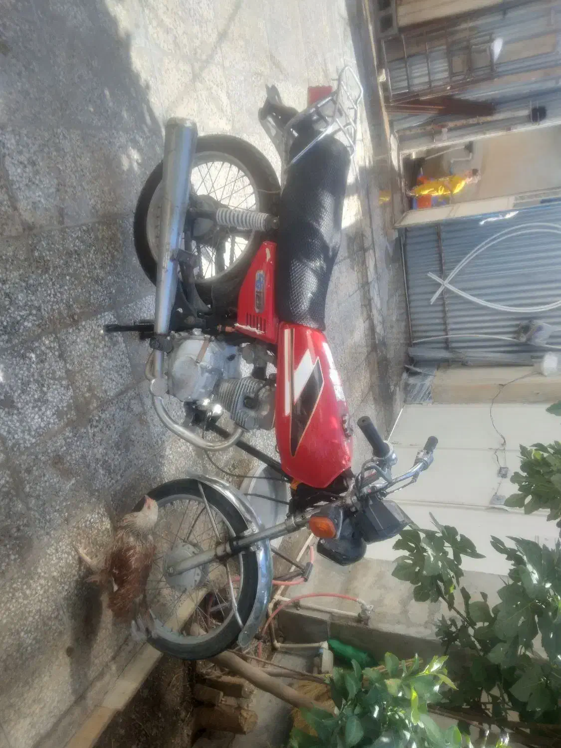 موتور سیکلت آچار نخورده|موتورسیکلت|بولی, |دیوار