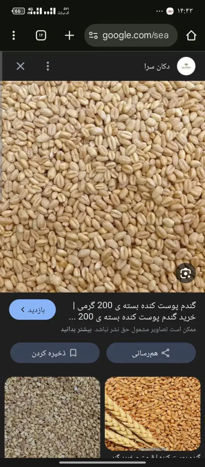 گندم یا نخود میخوام|فعالیت داوطلبانه|نورآباد, |دیوار