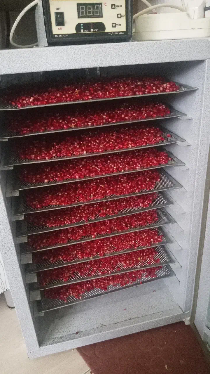 دستگاه میوه خشک موجوده|خوردنی و آشامیدنی|بندر گز, |دیوار