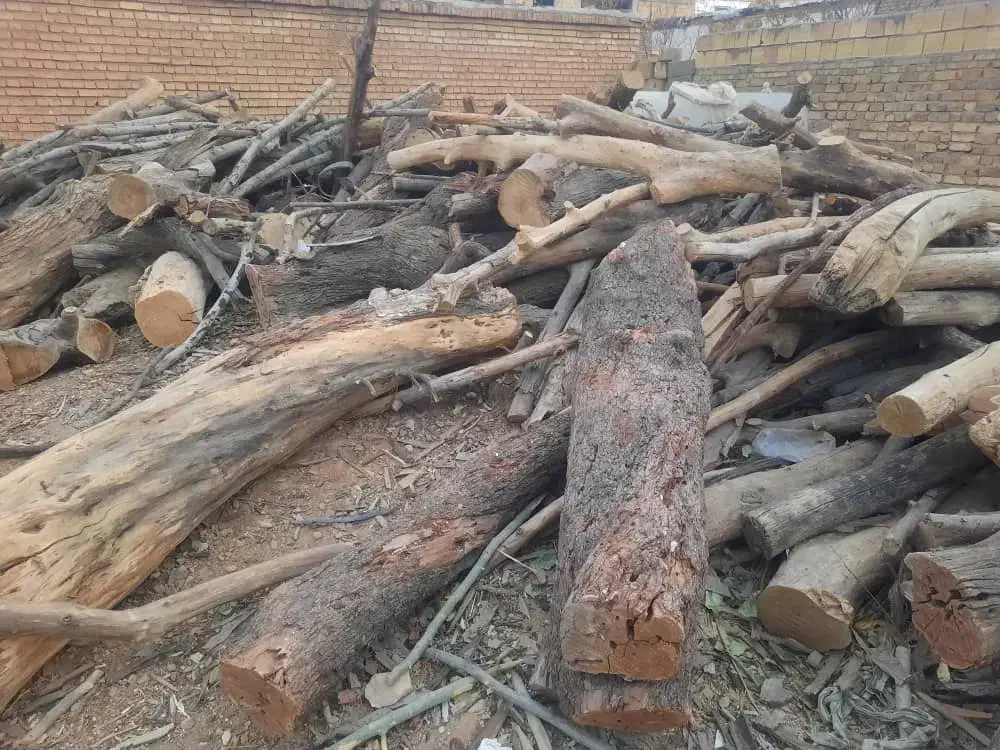 چوب خشک زغالی|خدمات باغبانی و درختکاری|خانمیرزا, |دیوار