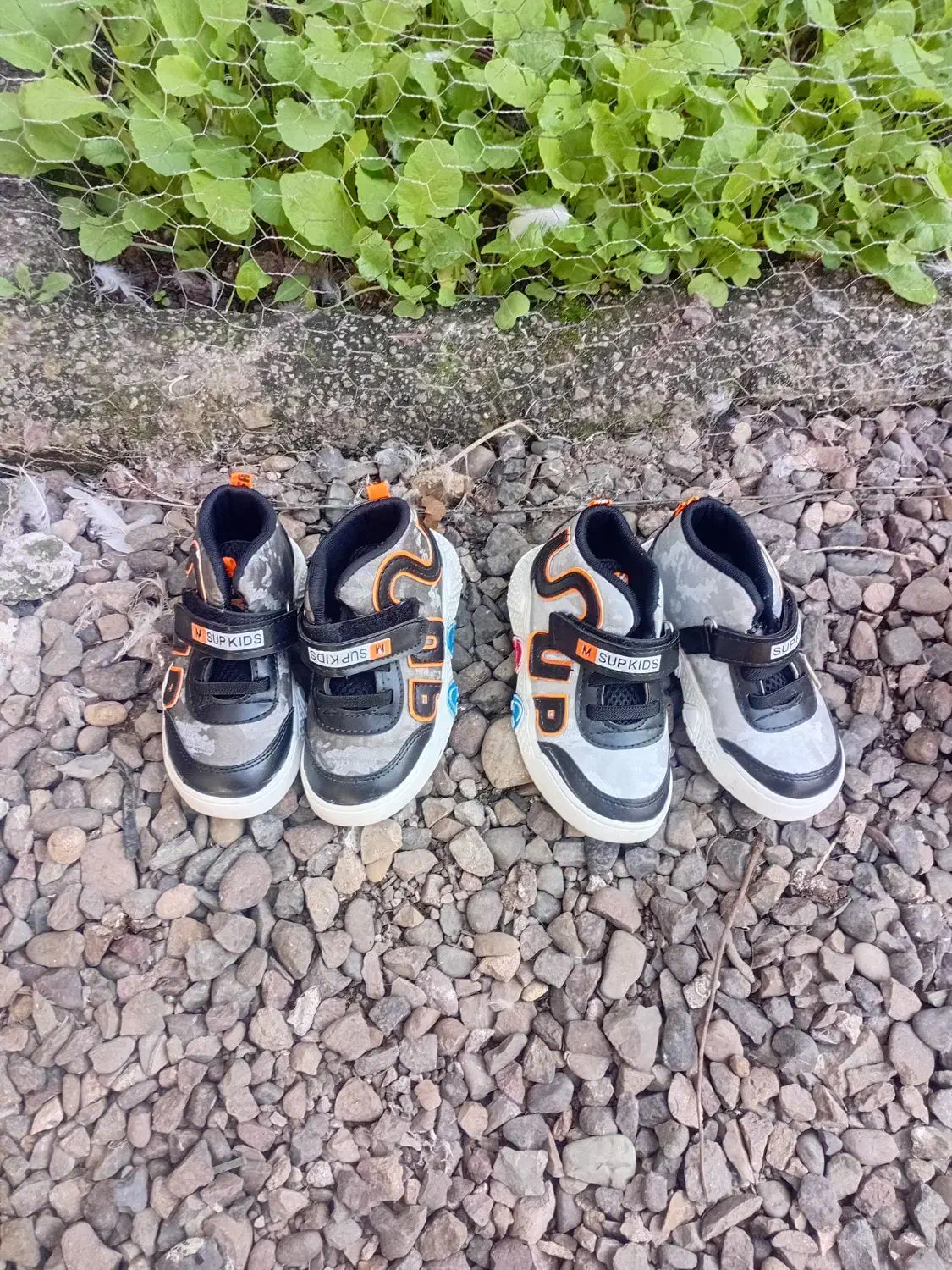 کفش وچکمه بچه گانه|کفش و لباس بچه|لاهیجان, گلستان|دیوار