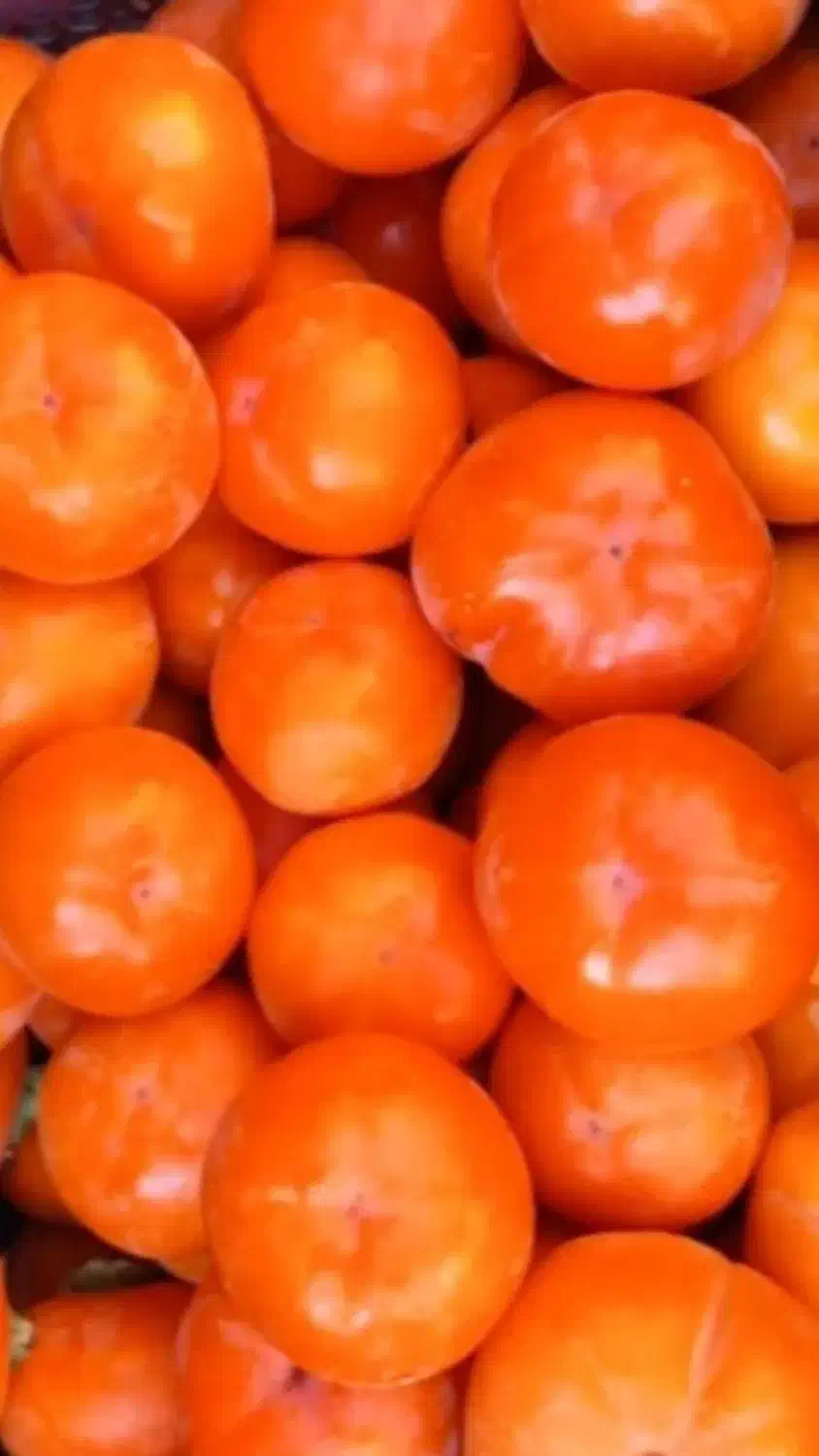 خرمالو درشت و آبدار ژاپنی|خوردنی و آشامیدنی|بافت, |دیوار