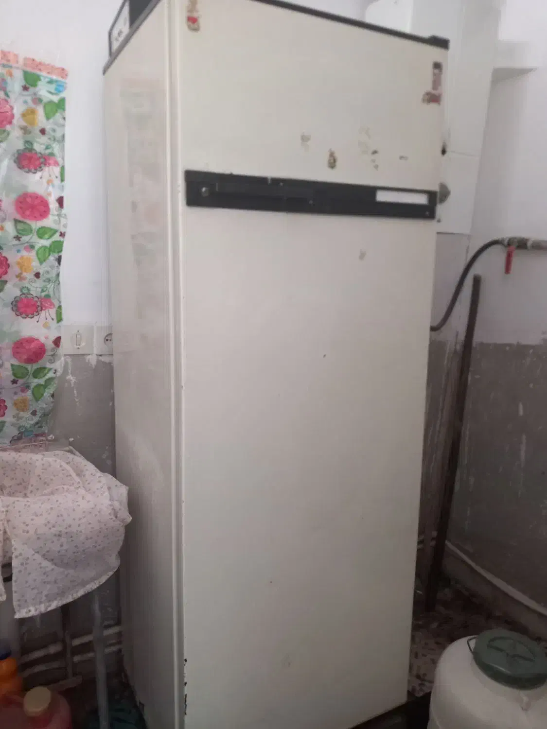 یخچال|یخچال و فریزر|ایجرود, |دیوار