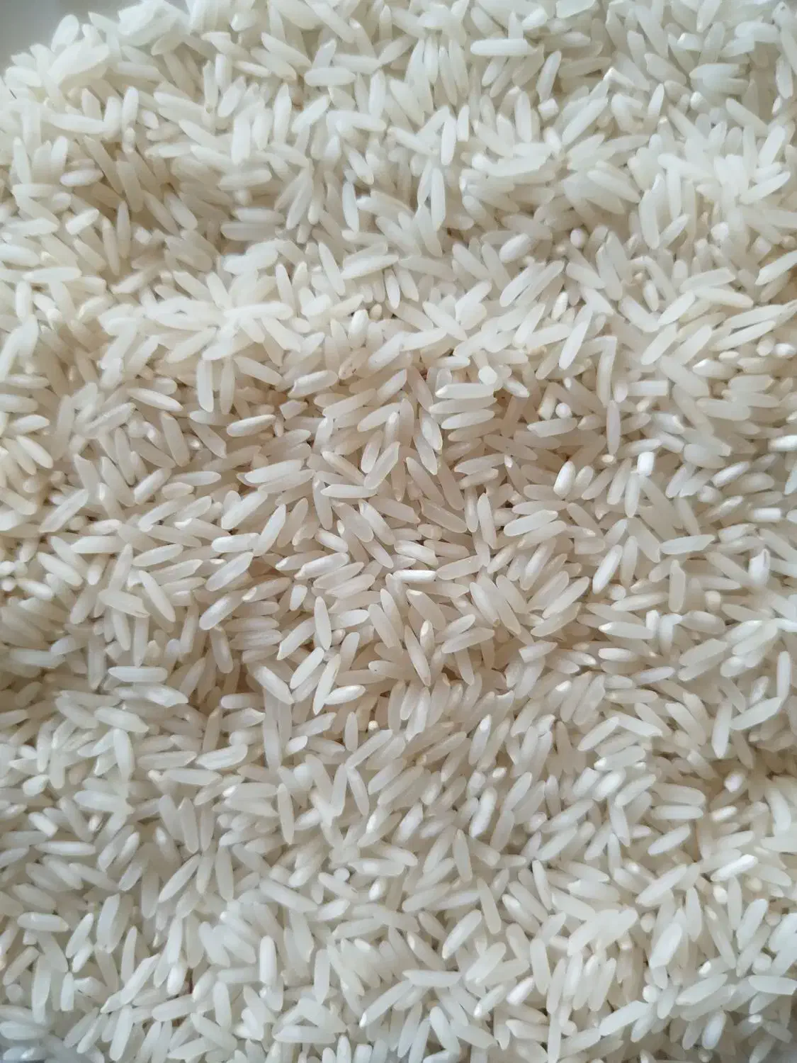 برنجفجرسوزنی|خوردنی و آشامیدنی|دره شهر, |دیوار