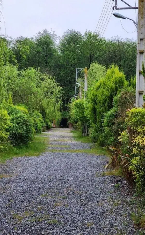 بازدید این زمینو ازدست نده یه فرصت عالی زمین ساخت|فروش زمین و ملک کلنگی|رویان, |دیوار