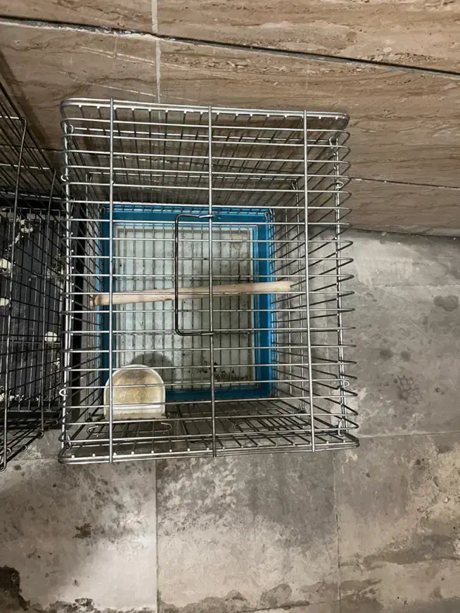 قفس|لوازم جانبی حیوانات|تهران, جیحون|دیوار