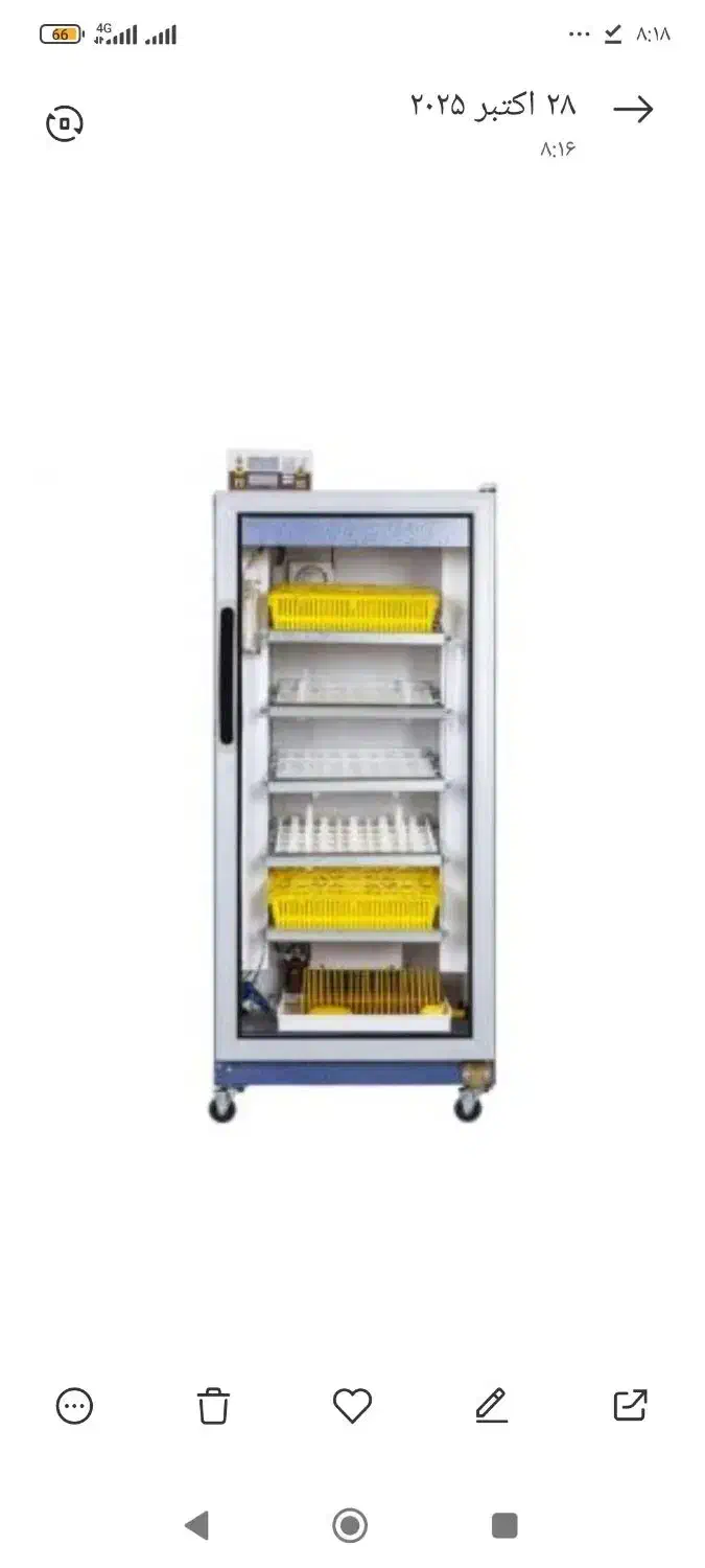 دستگاه جوجه کشی 210 عددی اتوماتیک|لوازم جانبی حیوانات|خورموج, |دیوار