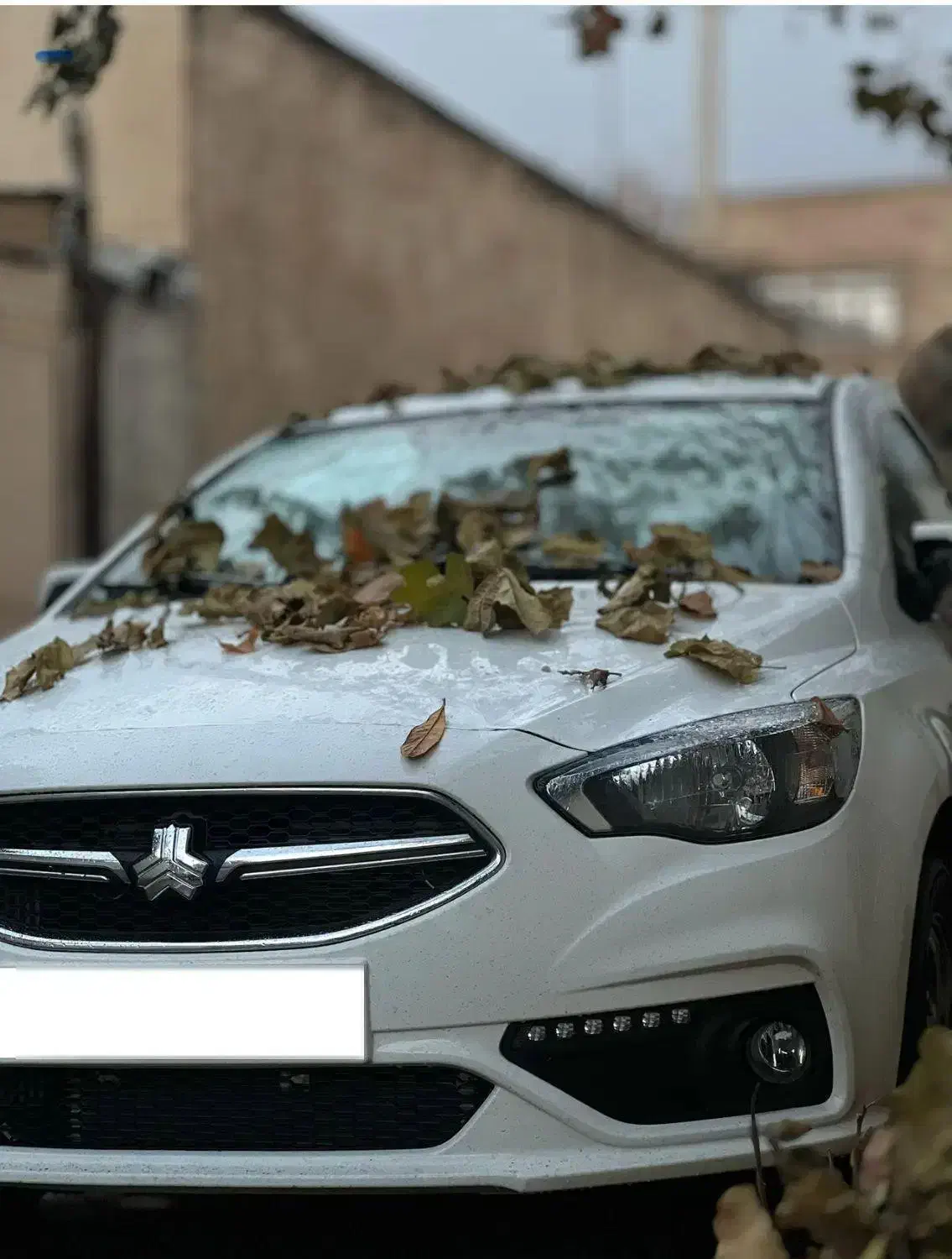 شاهینCVT|خودرو سواری و وانت|کازرون, |دیوار