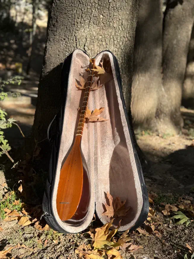 سازِ تنبور|سازهای سنتی|تهران, قیطریه|دیوار