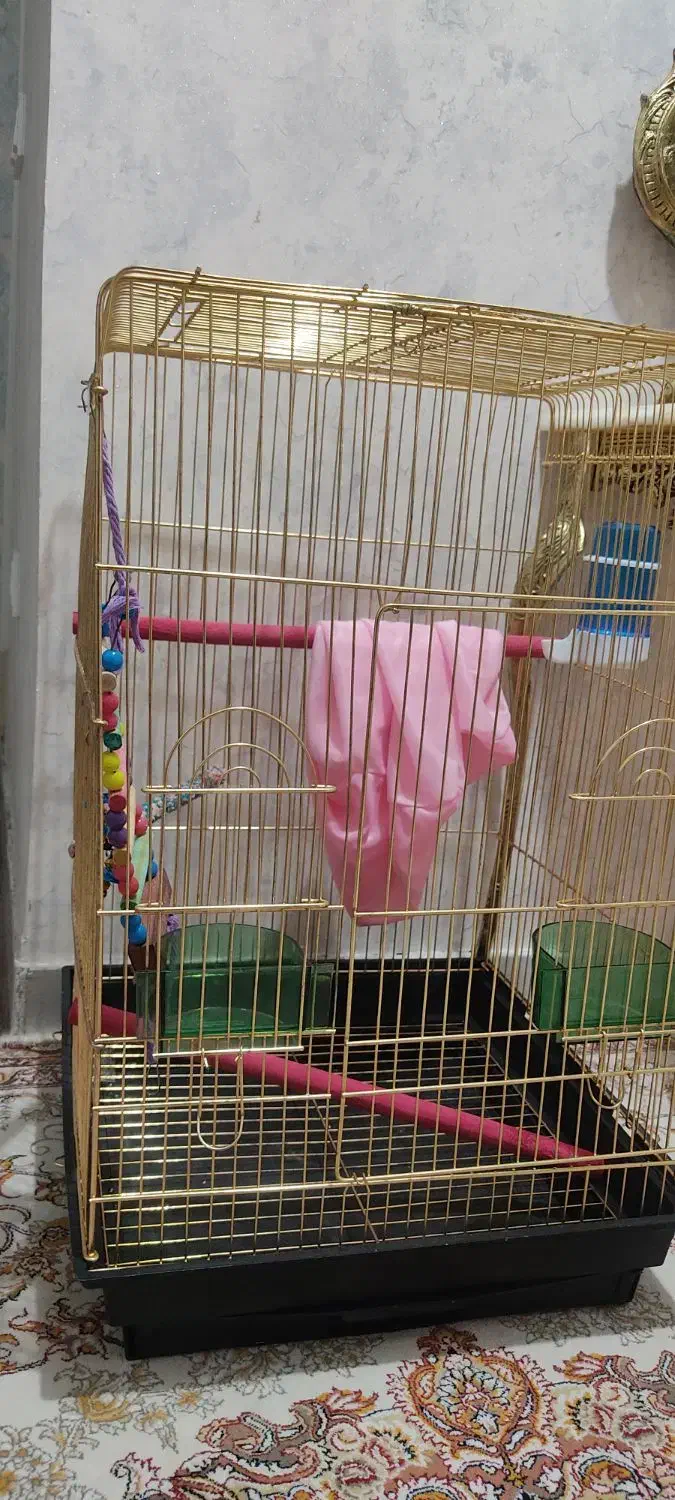 قفس بلند طلائی|لوازم جانبی حیوانات|سهند, |دیوار