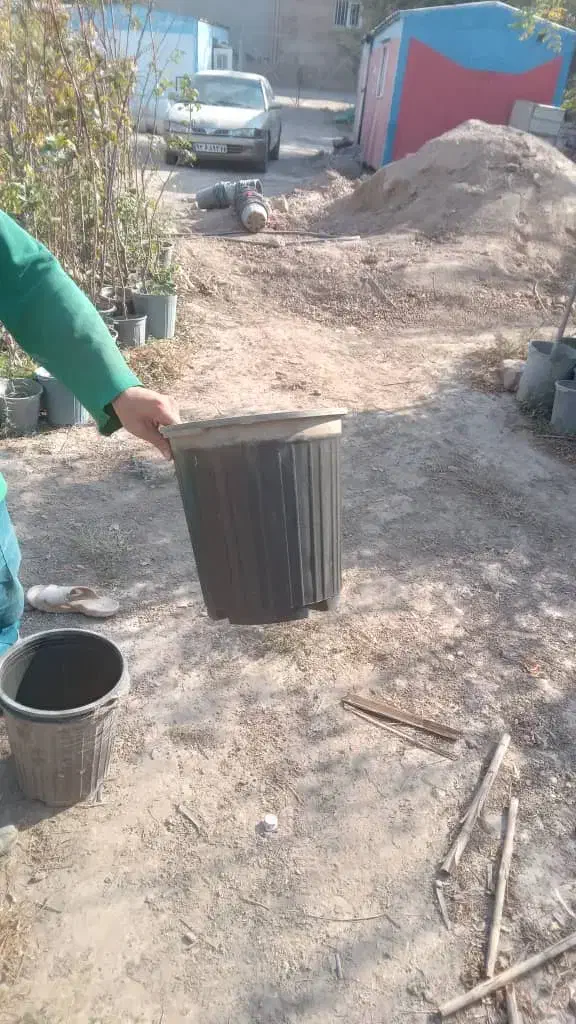 سطل۱۲و۳|خدمات باغبانی و درختکاری|پاکدشت, پاکدشت (مامازند)|دیوار