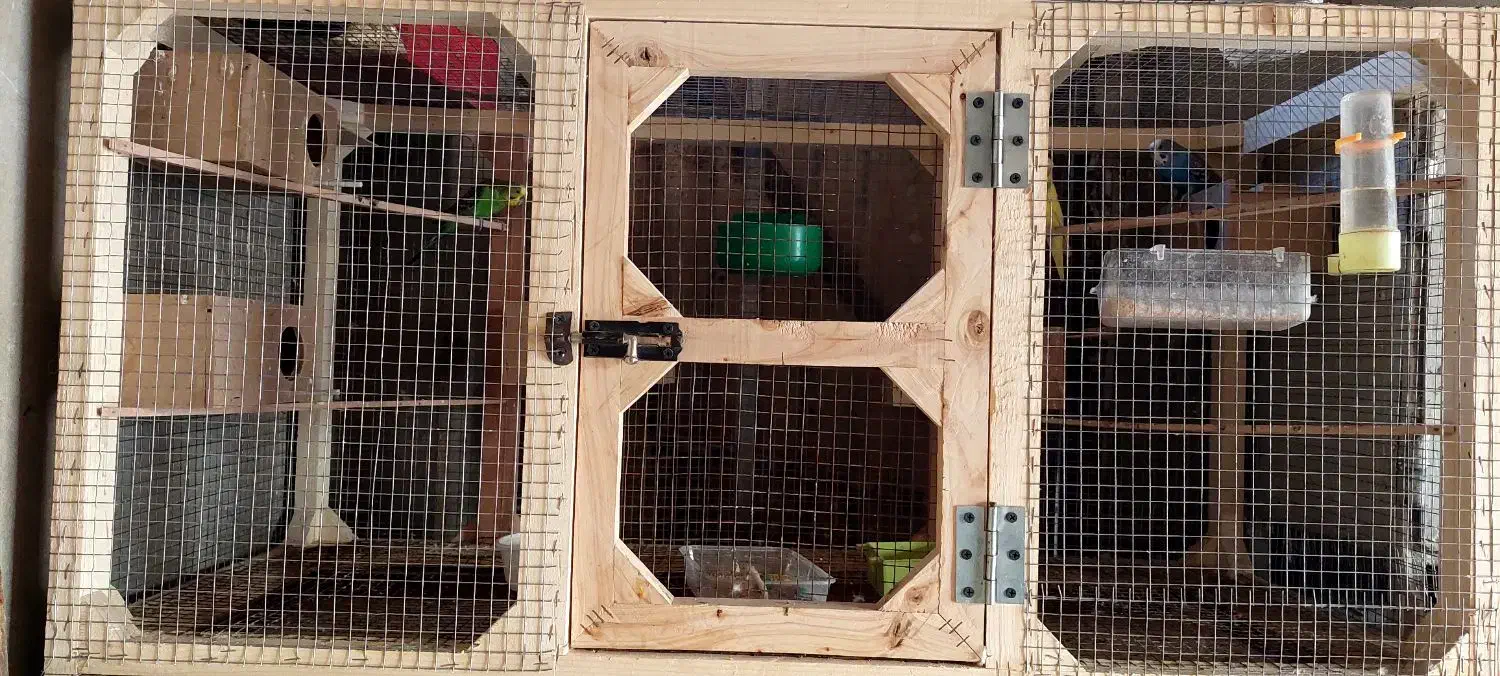 قفس شیک|لوازم جانبی حیوانات|ایذه, |دیوار