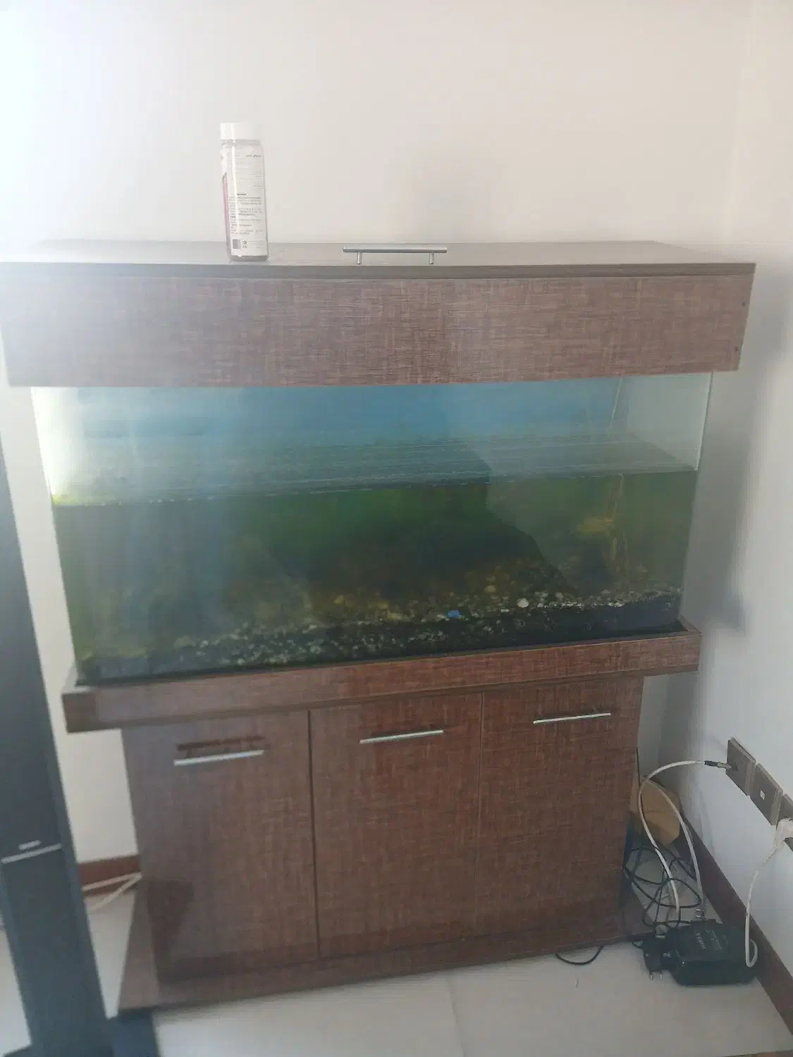 آکوااریوم همراه با لوازم وماهی به فروش میرسد|ماهی|رودهن, |دیوار