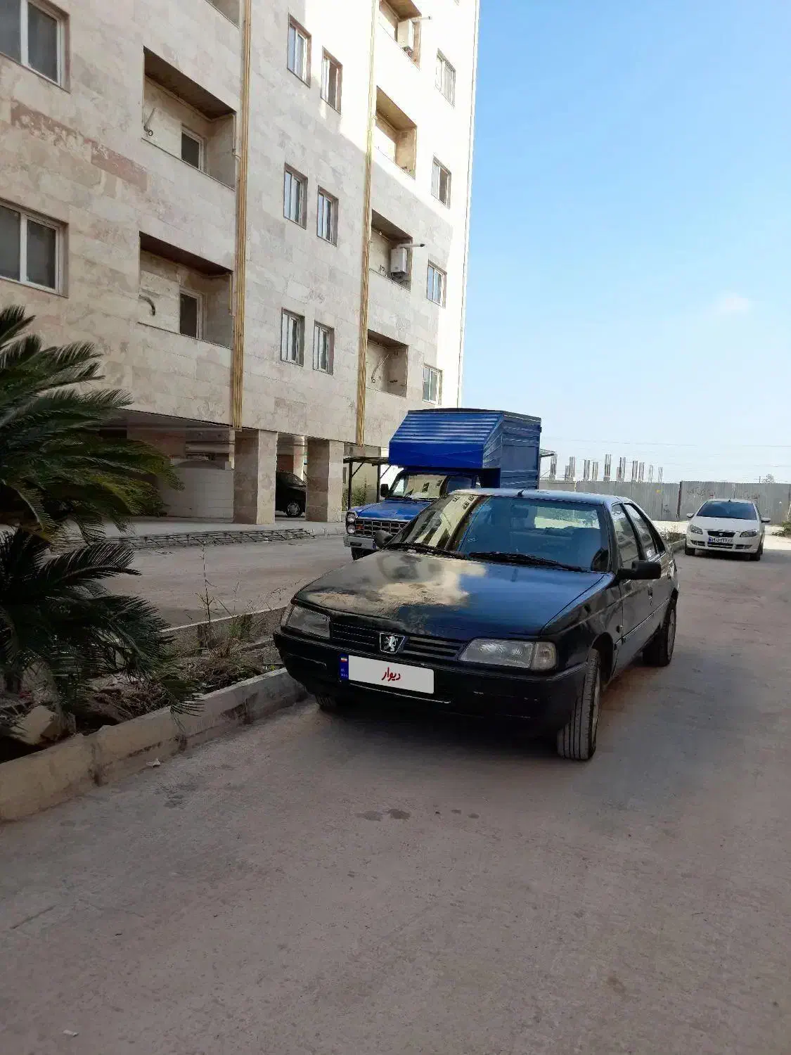 پژو آردی مدل ۸۴ دوگانه سوز خوش قیمت|خودرو سواری و وانت|رشت, کوی مهر|دیوار