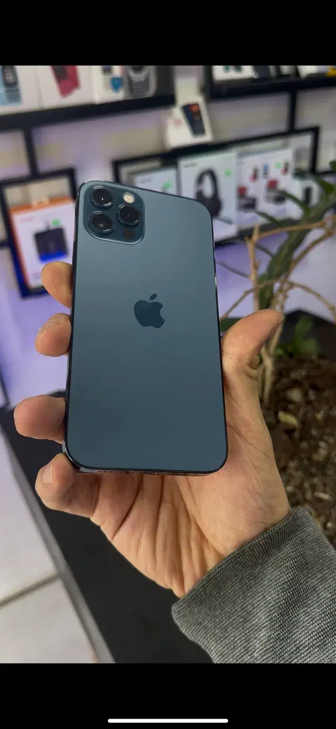 گوشی iphone 12 pro 256GB|موبایل|رویان, |دیوار