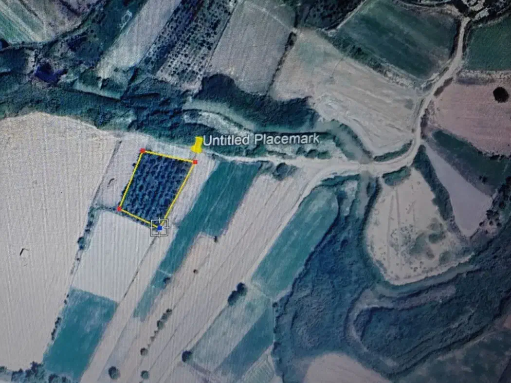 باغ زردآلو|فروش زمین و ملک کلنگی|گرمخان, |دیوار