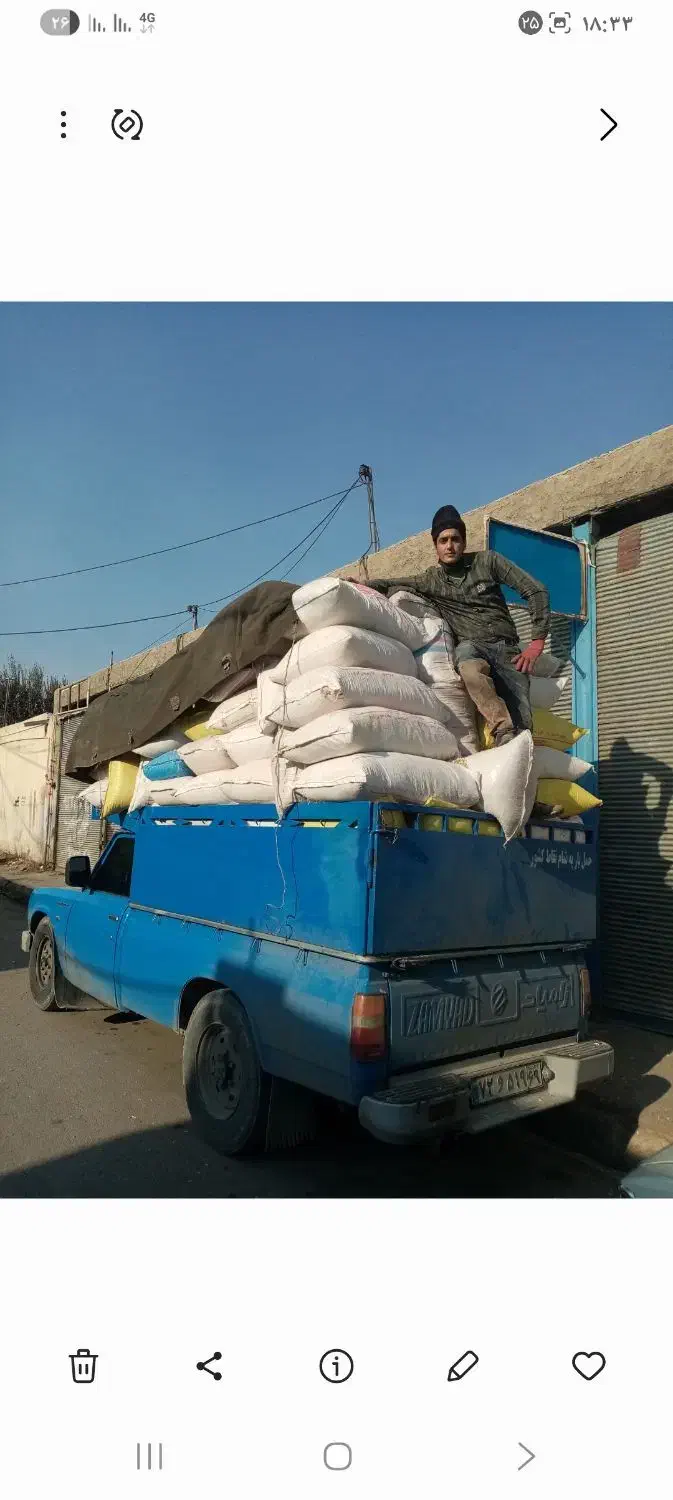 فروش خاک اره چوب جهت تولید زغال فشرده|عمدهفروشی|سمنان, |دیوار