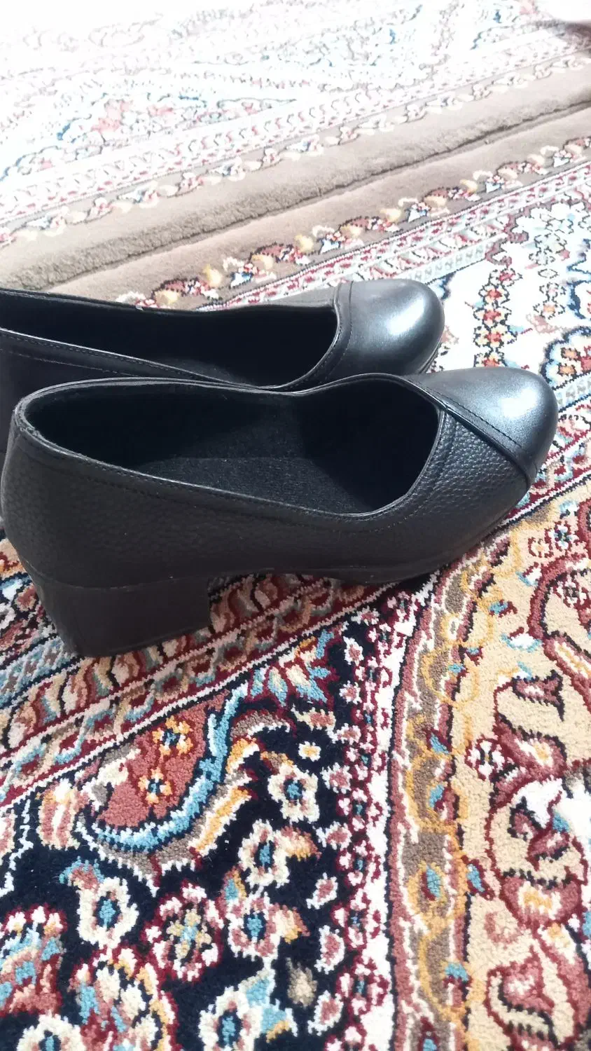 کفش زنانه|کیف، کفش، کمربند|کاشان, زیارتی|دیوار